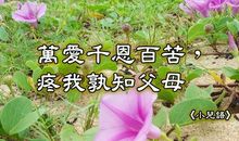 万爱千恩百苦疼我孰知父母