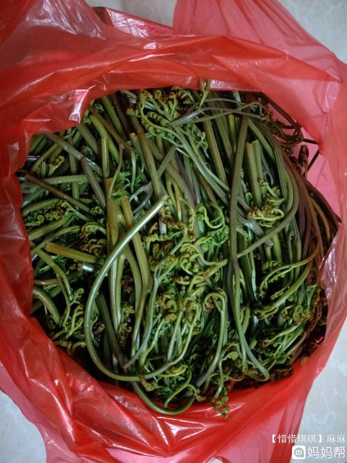故乡的野菜