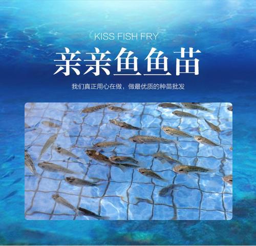 吻炸