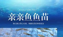亲亲鱼苗