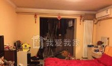 我爱我家的大公鸡