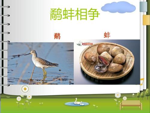 ipe和蛤fight战斗