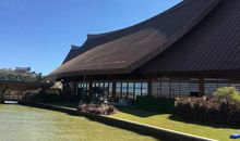 一路春风，一路风雨