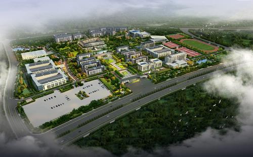 我的新校园