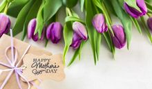 我努力读懂母亲