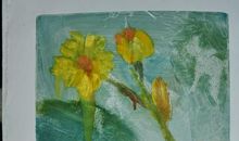 那片永不凋零的红叶作文600字