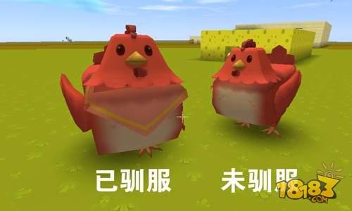 我成了飞鸡