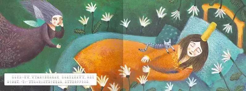 “三只小猪”的延续