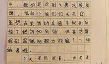 变形记作文变成一棵树