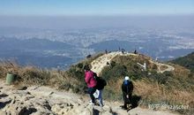 校园里的小山包