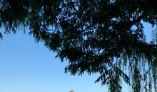 杭州，我的家乡