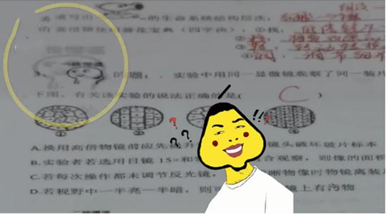 动荡
