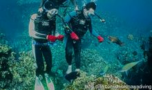 美好的潜水经历