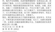 我和冰墩墩过一天作文400字