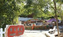 开心农场实践活动