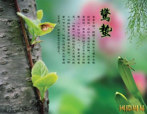 “精哲”的秘密