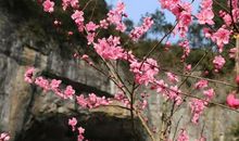 宽容滋润了我的心田