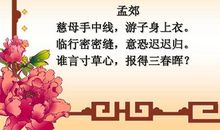 母爱悠悠言不尽