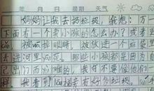 写我们班的小能人作文