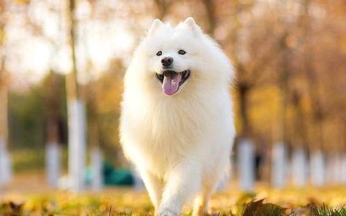 坚持人们的思想