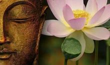 因为善良所以快乐