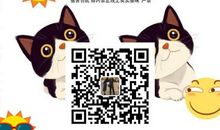 我希望养一只小猫