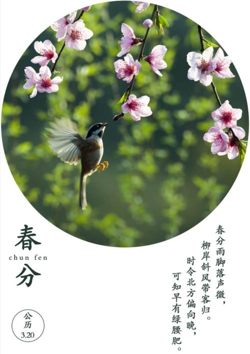 二十四个节气的春分