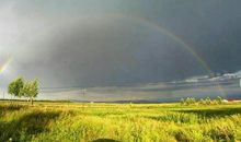 知识是大自然给予的