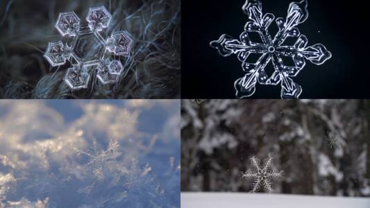 雪花的外观