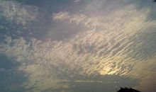 寻找自己的节奏