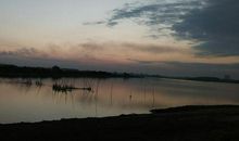 我爱家乡的东湖