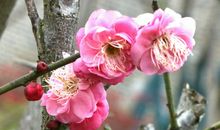 风景于心快乐于己