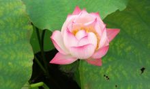 珍爱生命，享受生命