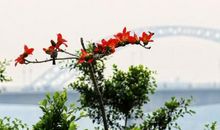 珍惜身边的幸福