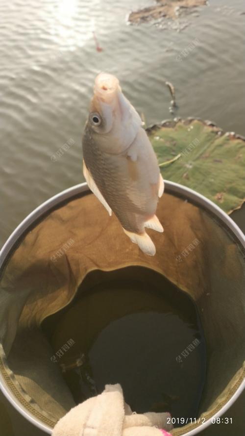 我爱长湖