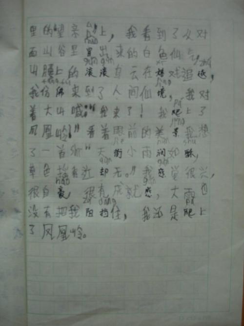 爸爸的手作文400字