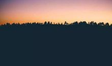 请相信为他人着想的力量