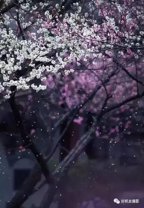 雨的味道