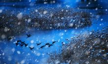 为自己的童年喝彩