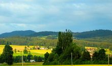 难忘的乡村风光