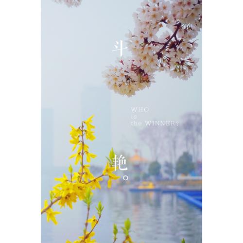 如诗如画的春天