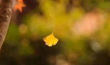 它滋养了我的生命