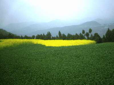走进春田