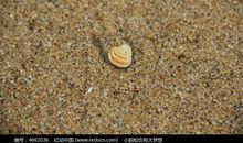 小沙粒的奇遇记