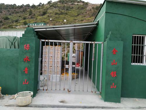 奶奶的果园