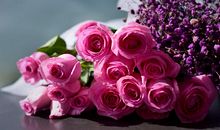 让阳光驻在心间