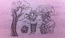 谁最美看图写话二年级下册