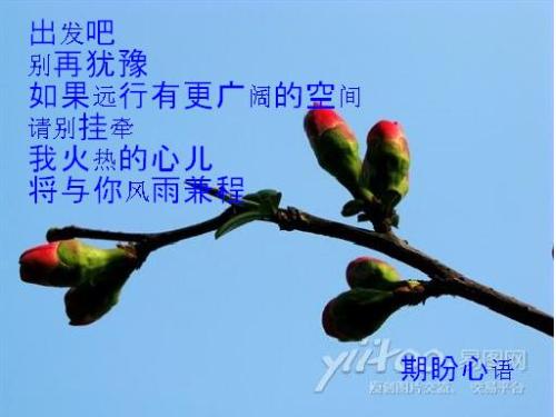 放弃也是一种幸福