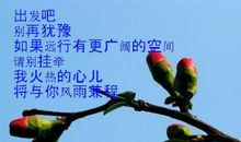 弃也是一种幸福