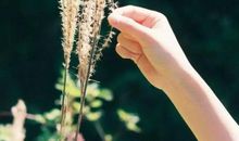 忘不掉那些快乐